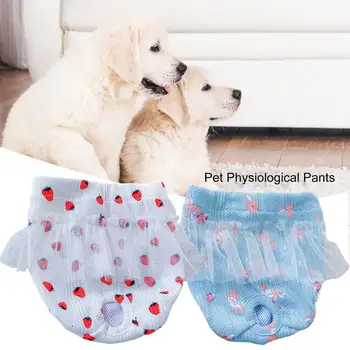 Гигиенические штаны для домашних животных, Короткие подгузники, Физиологические штаны, кружевной моющийся полиэстер с клубничным / цветочным рисунком, товары для домашних животных для собак-самок