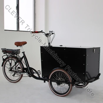 Электрический трехколесный велосипед для взрослых с педалью 36 В 250 Вт, велосипед с крышкой, Передвижная тележка для доставки уличной еды для продажи
