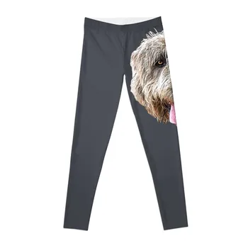 Леггинсы Irish Wolfhound, брюки, леггинсы для спортивного зала, женщина, облегающие женщину